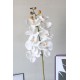 Orkide Çiçek Taş Saksı Rose Gölgeli Papatyalar & Yeşilliklerle Çevrili 77 cm Yapaylar
