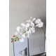 Orkide Çiçek Taş Gümüş Gölgeli Saksı Papatyalarla Sarılı Yatay Büyük Boy Yapaylar