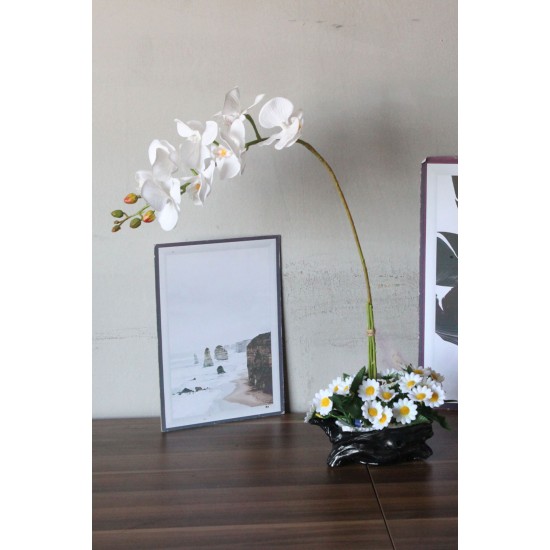 Orkide Çiçek Taş Gümüş Gölgeli Saksı Papatyalarla Sarılı Yatay Büyük Boy Yapaylar