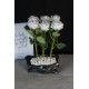 Saksı Gümüş Gölgeli Saksı Özel Model Beyaz Güller 6 Adet Yapay
