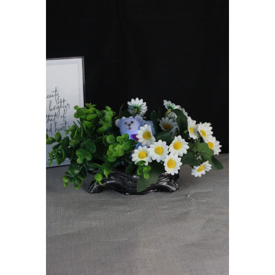 Papatya Çiçek Taş Gümüş Gölgeli Saksı Yeşilliklerle Sarılı & Biblo Sevgili Ayıcık