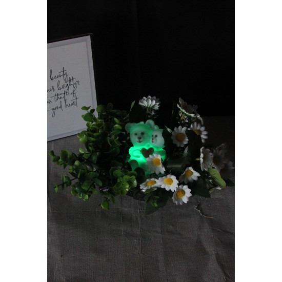 Papatya Çiçek Taş Gümüş Gölgeli Saksı Yeşilliklerle Sarılı & Biblo Sevgili Ayıcık