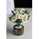 Papatya Çiçek 25 Başlıklı Taş Gold Gölgeli Saksı