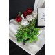 Saksı Özel Model Rose Gölgeli Güller 6 Adet Kırmızı & Beyaz Yapay Yeşilliklerle Çevrili