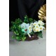 Papatya Çiçek Taş Rose Gölgeli Saksı Yeşilliklerle Sarılı & Biblo Sevgili Ayıcık