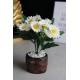 Papatya Çiçek 25 Başlıklı Taş Rose Gölgeli Saksı