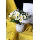 Papatya Çiçek 25 Başlıklı Taş Saksı