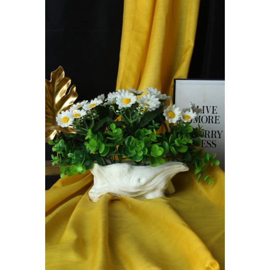 Papatya Çiçek Taş Saksı Yeşilliklerle Sarılı