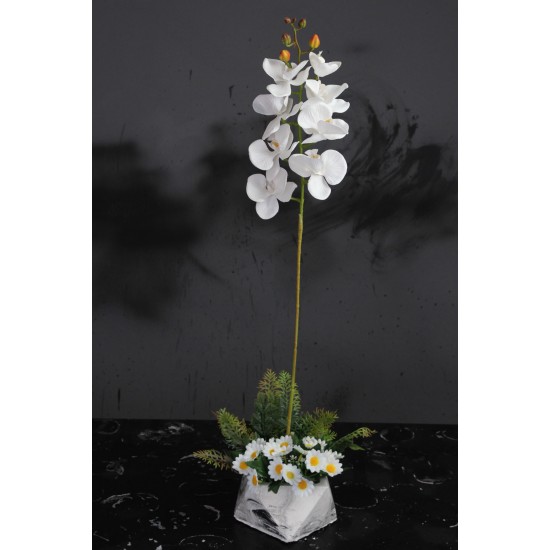 Orkide Çiçek Taş Saksı Papatyalar & Yeşilliklerle Sarılı 77 cm