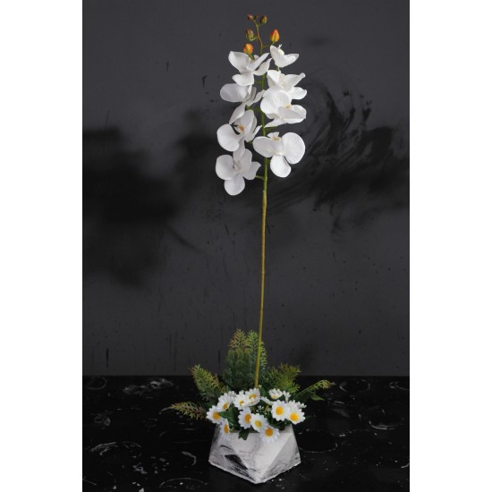 Orkide Çiçek Taş Saksı Papatyalar & Yeşilliklerle Sarılı 77 cm
