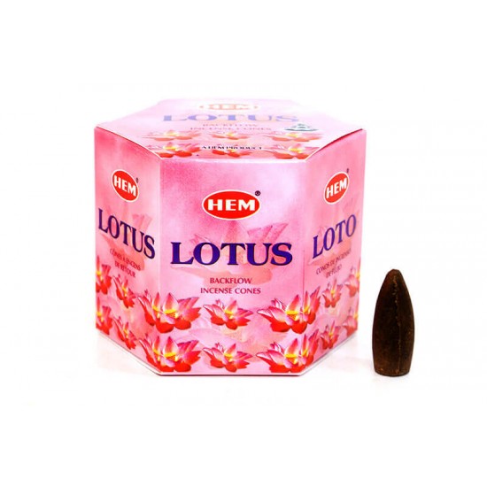 Lotus Back Flow Cones