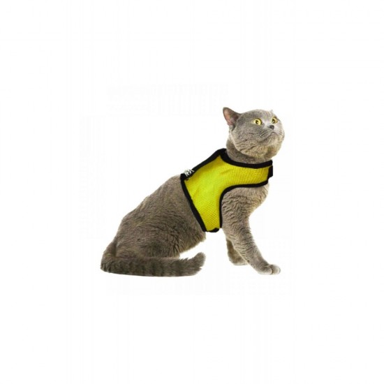 Air Fila Kedi Bel Tasması Sarı